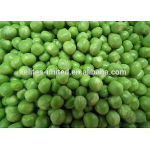 Class A IQF Frozen Green Peas